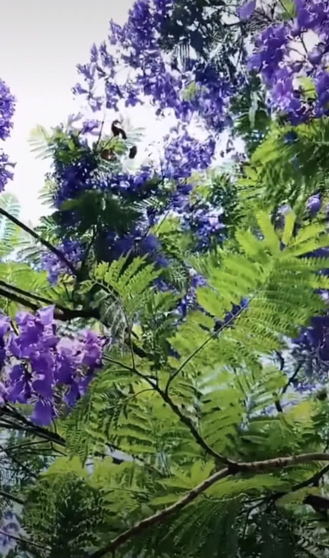 公公吵架骂儿媳妇怎么办,小两口吵架公公应怎样安慰儿媳妇