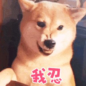 如果遇见狗要咬你该怎么办,如果遇到狗咬人怎么办