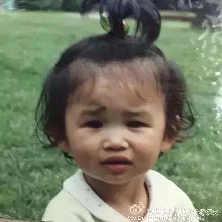 谢飞机随身携带的小绿包,谢飞机表情包视频