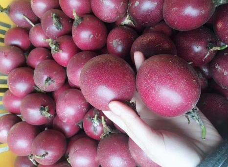 百香果的外壳能吃吗,百香果的籽不嚼能不能吃