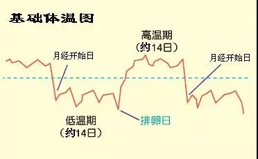 怎么样提高精子质量增加受孕几率,排卵期怎样做可以提高受孕几率