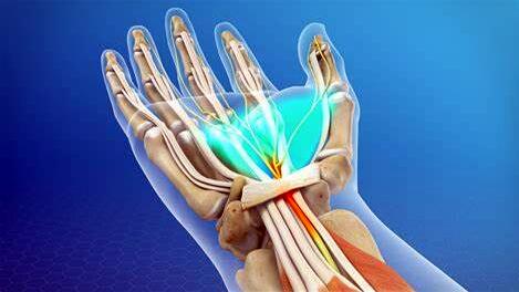 人类做梦属于深睡眠吗,人类做梦至今是个谜