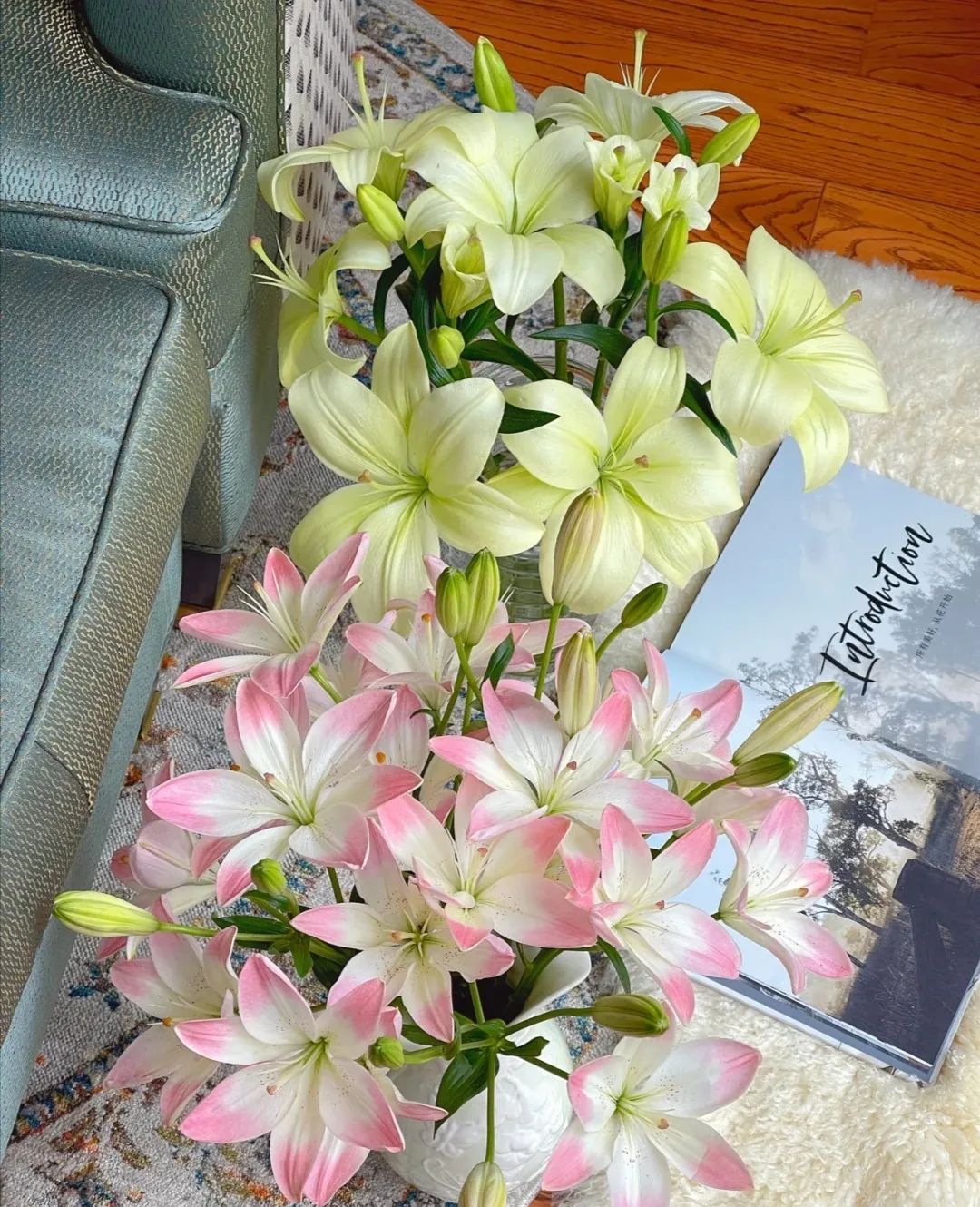 秋日赏花，百合必须要拥有姓名