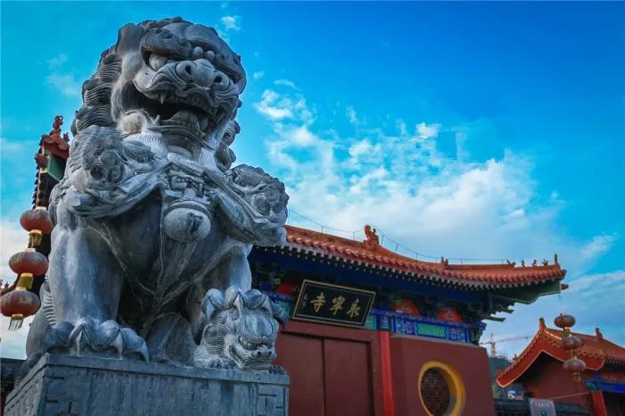 腾飞丰县，八大主导产业升级发展