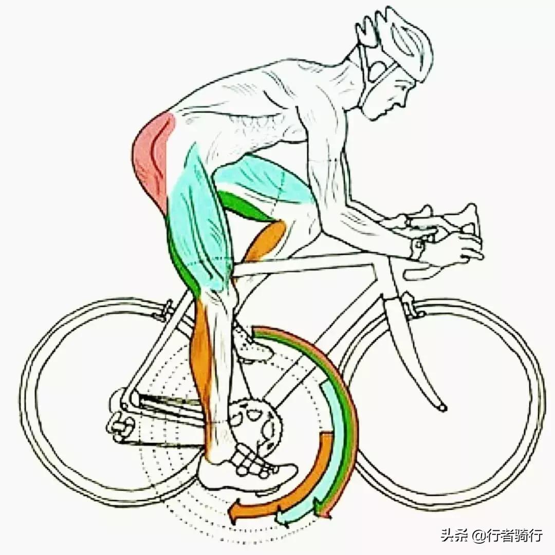 骑车是不是要穿运动鞋,为什么骑车需要专用鞋子