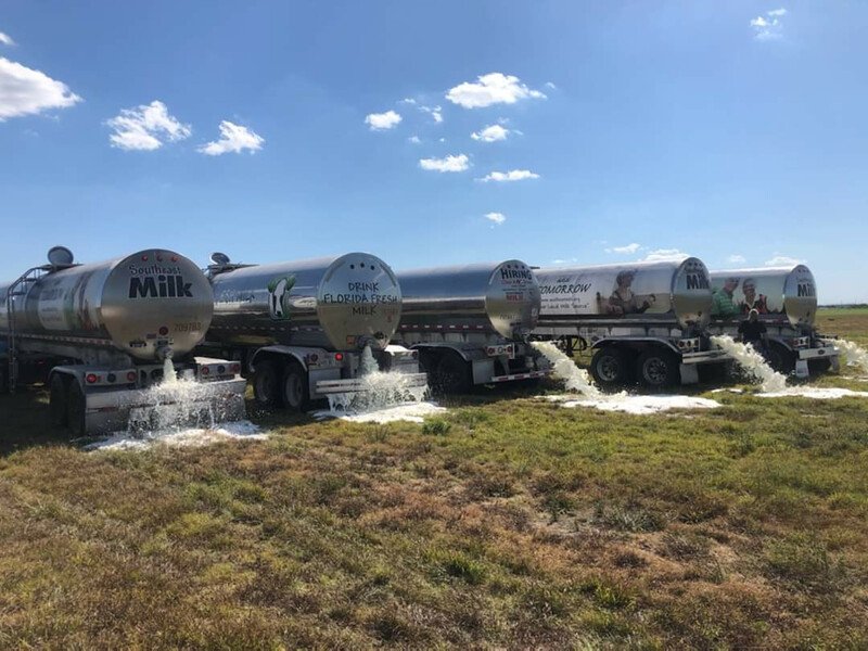 中国首批新国标婴幼儿配方奶粉,疫情下的奶粉