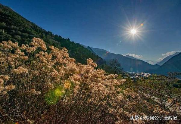 孟屯河谷风景,理县孟屯河谷风景图片