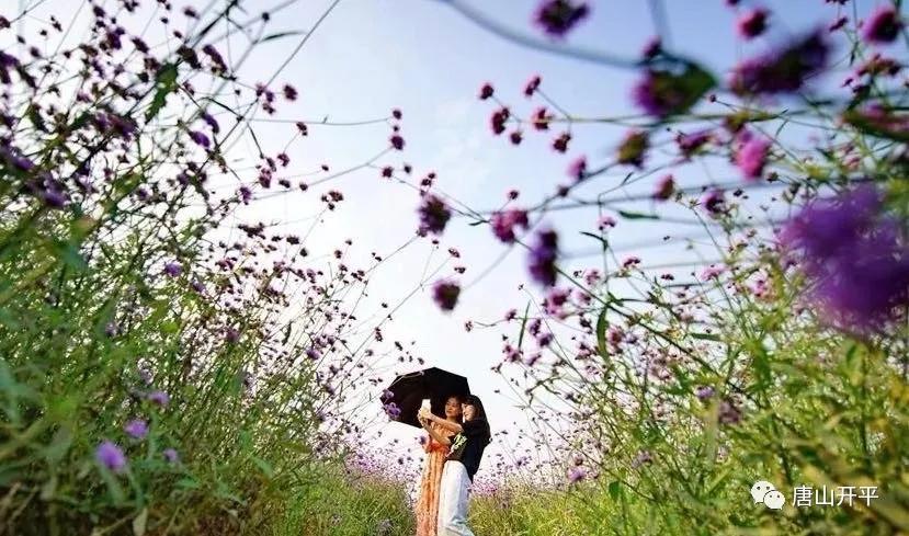 开平的美惊艳了时光,一起去感受开平的魅力