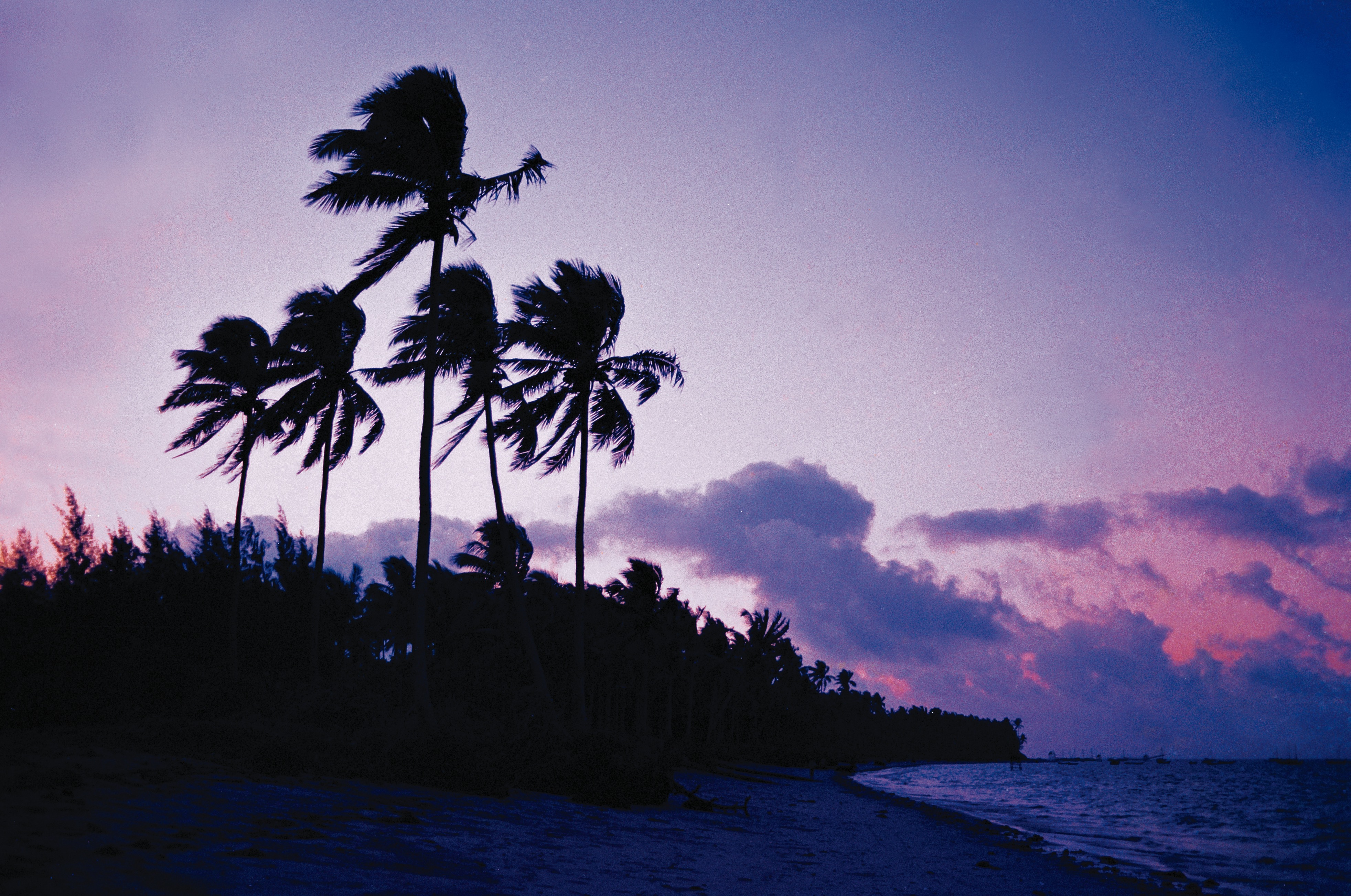 游海南赏椰风海韵,海南东郊椰林值得去吗