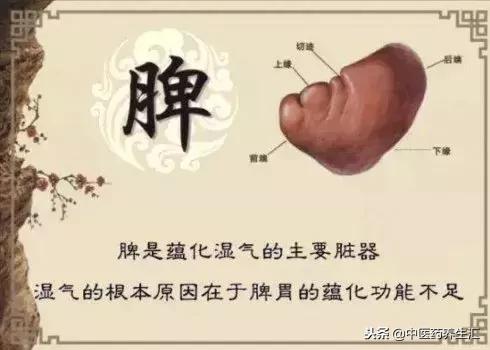 单桂敏艾灸除百病全部视频教程,湿去百病除