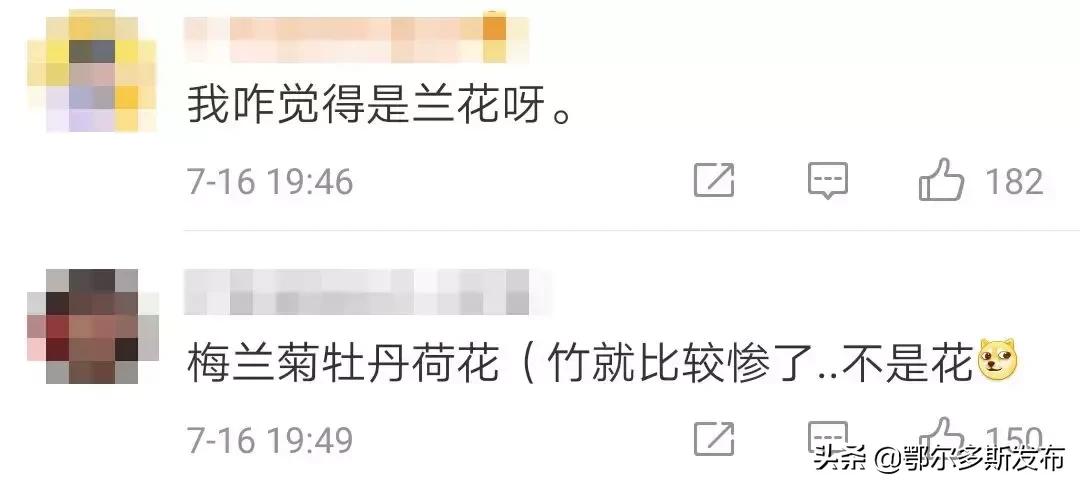 为什么选牡丹为国花,牡丹被定义为国花