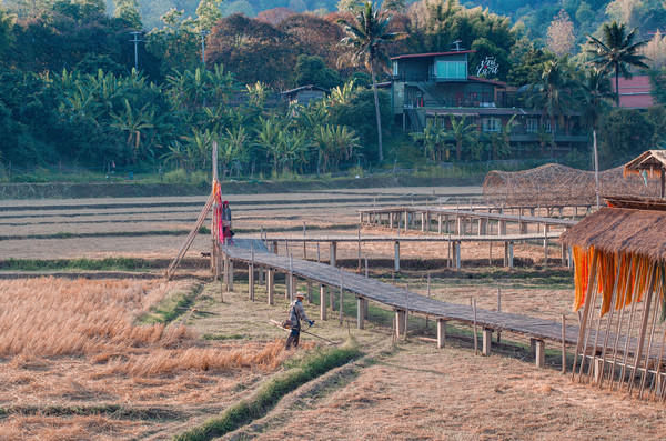 去清迈度假享受片刻的宁静,12月的清迈