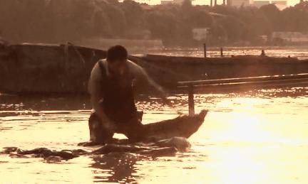 香云纱出汗有印记,香云纱珍珠纱