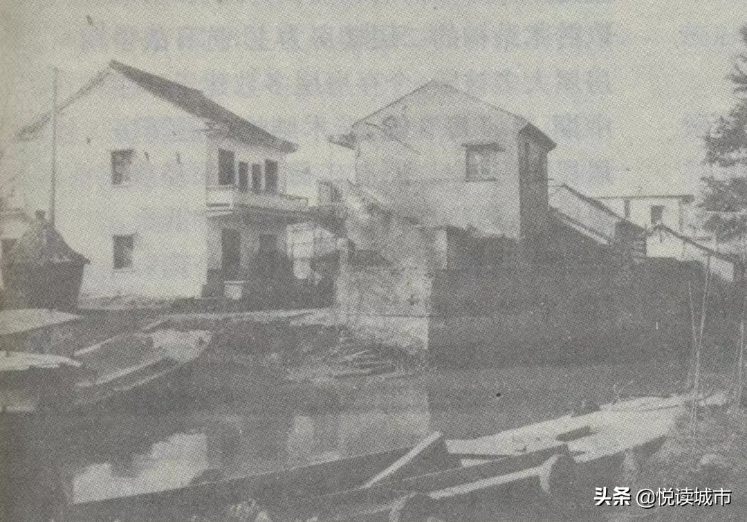 金秋赏“金”：新老照片对比金山发展老金山都不一定认得全