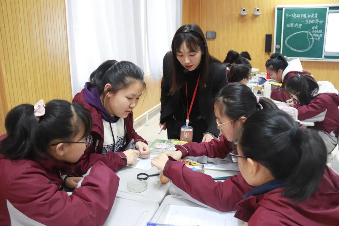 延安北大培文实验学校到底咋样,延安北大培文新区学校是省重点吗