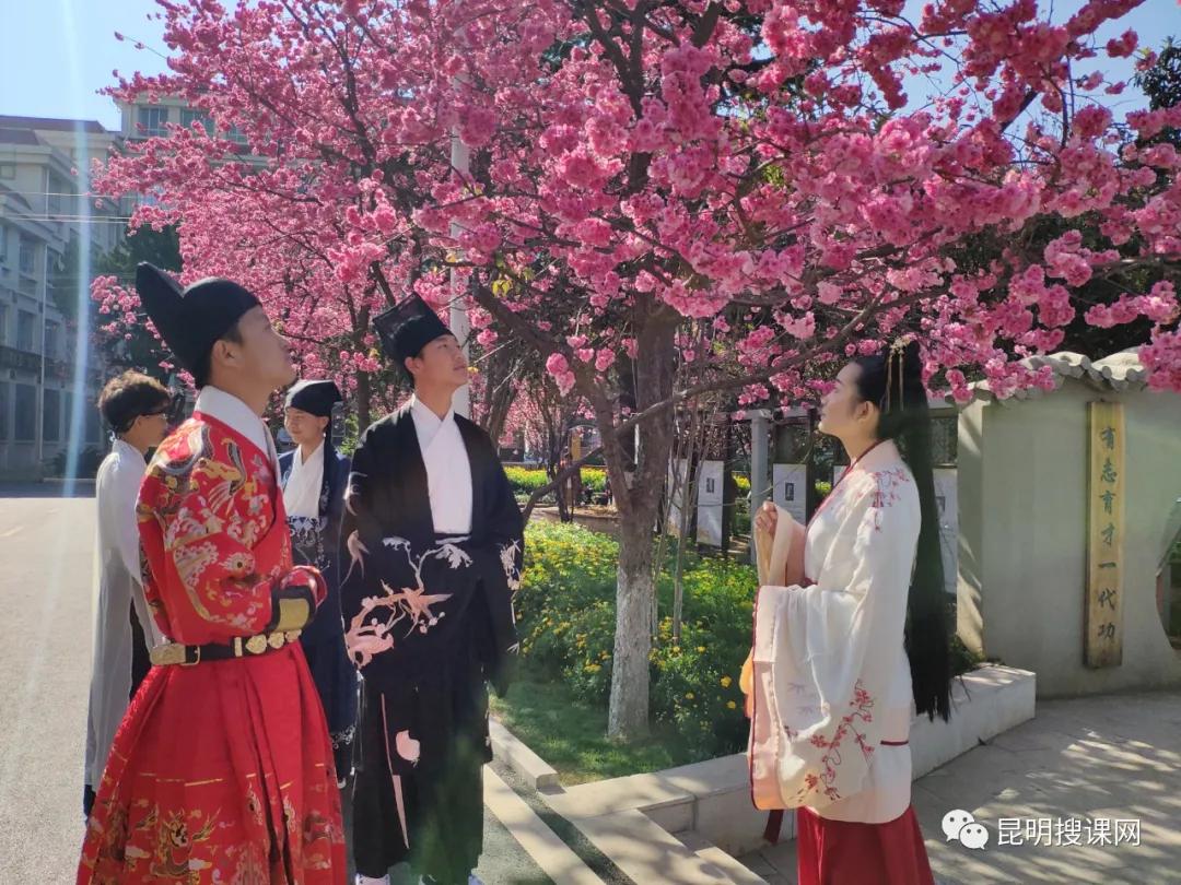 报考昆明中学,报考昆十中的理由