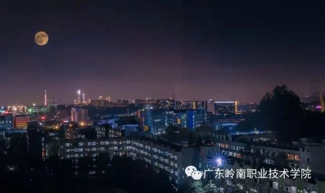 广东岭南职业技术学院2024分数,广东岭南职业技术学院志愿填报