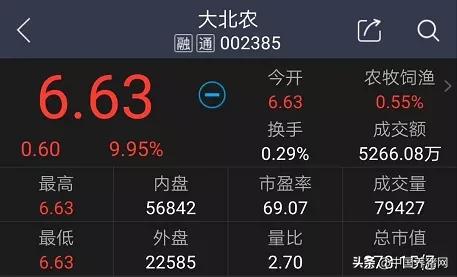 猪肉股涨停,2019猪市涨停