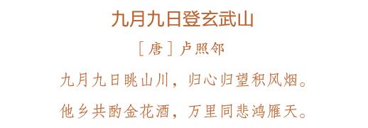 重阳节有登高赏菊插竹篙等习俗,重阳节有踏秋登高赏菊的习俗