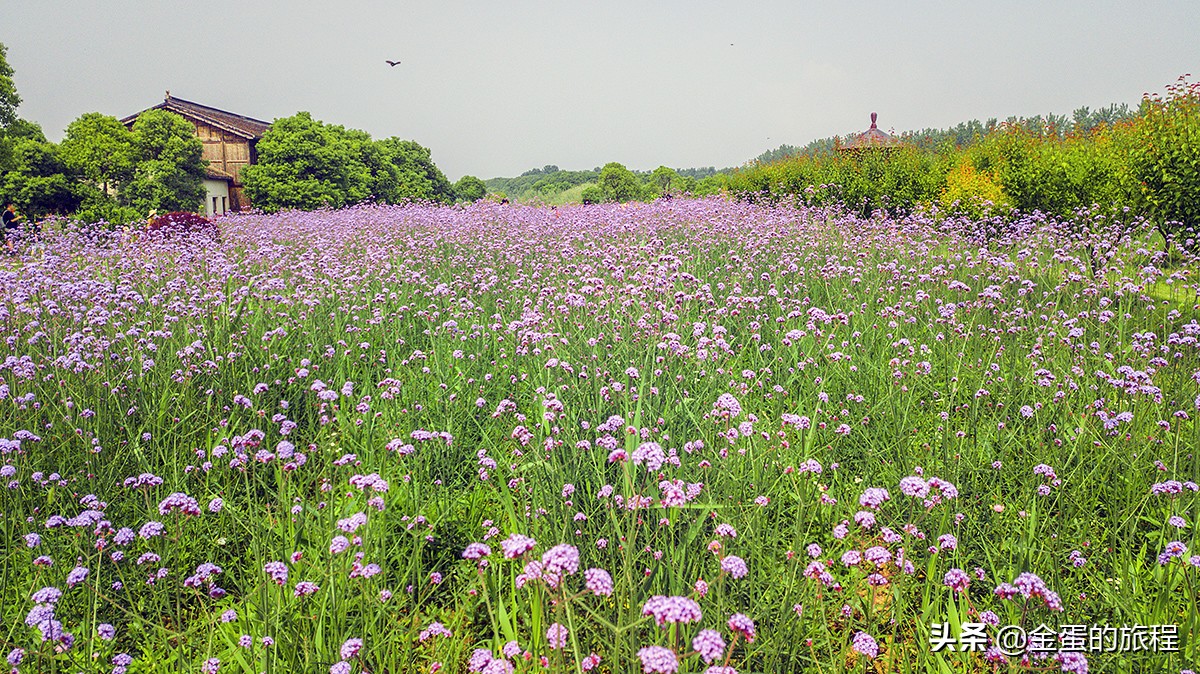 苏州人都不知晓的景点,苏州只有本地人知道的风景区