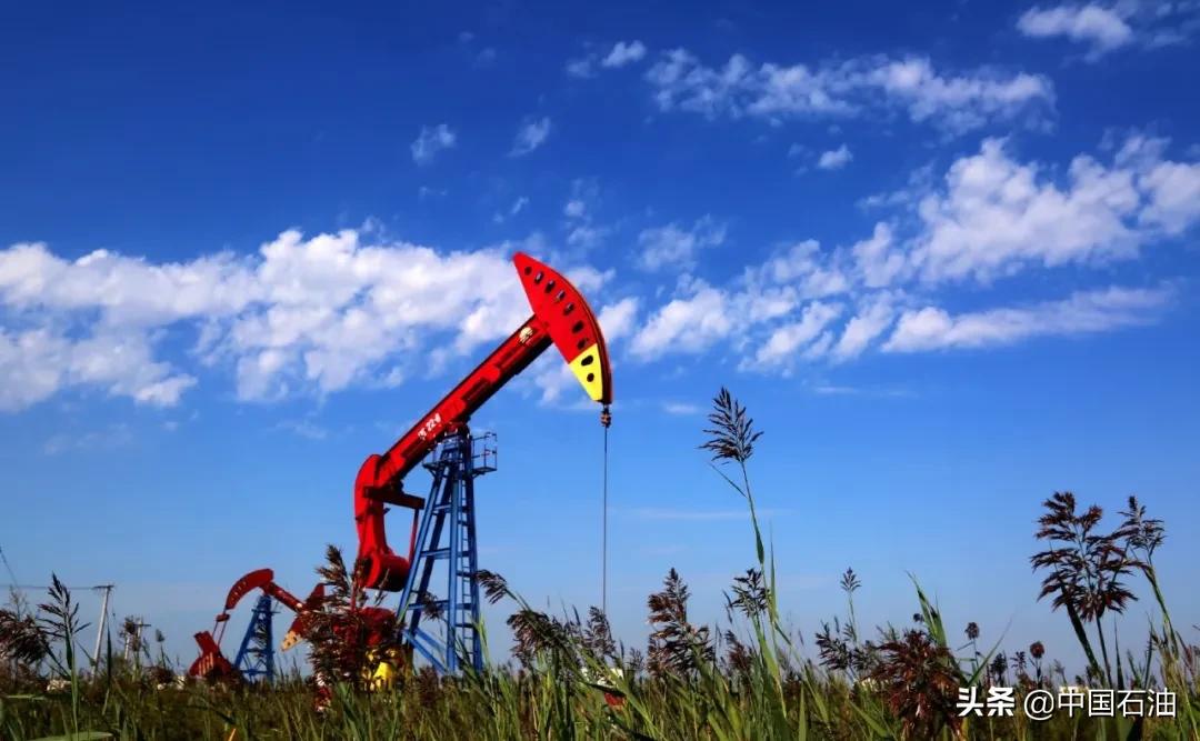 欧佩克和沙特阿美的区别,欧佩克和非欧佩克产油国有哪些