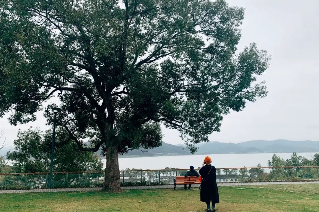 宁波必吃的晚餐排行榜,四天三夜美食攻略