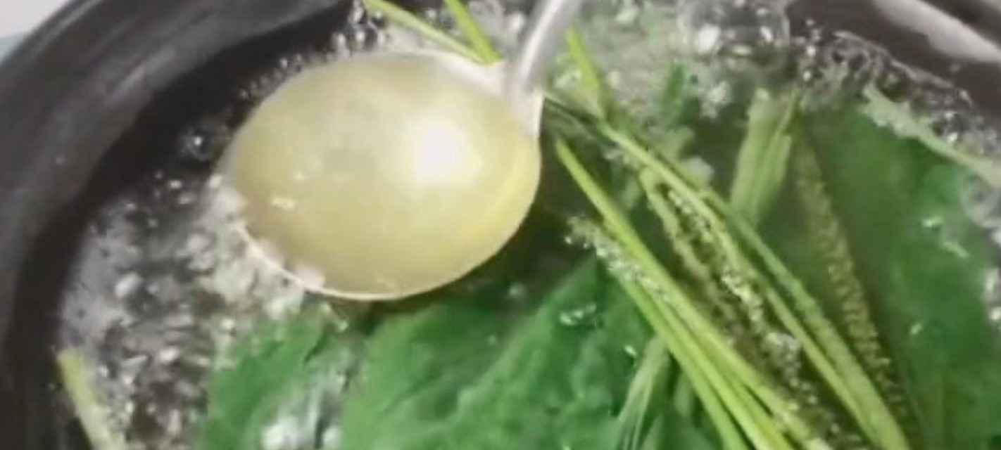 车前子野菜可以做馅吃吗,野菜车前草做法