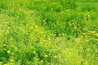 一段美好感情,一段美好的情感