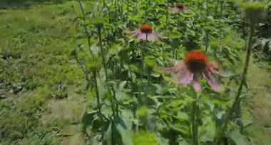 小红书安利翻车文章,小红书翻车全集