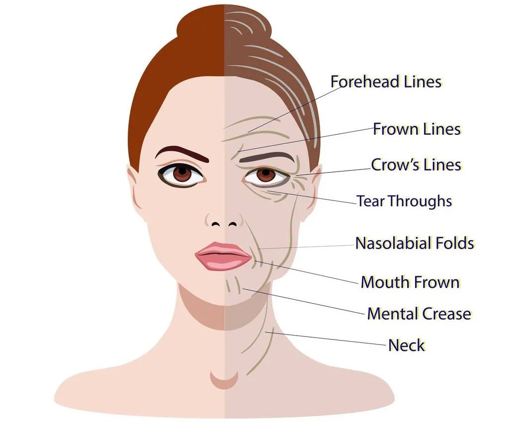 想健康长寿请记住这12条,抗衰老秘笈助你永葆青春