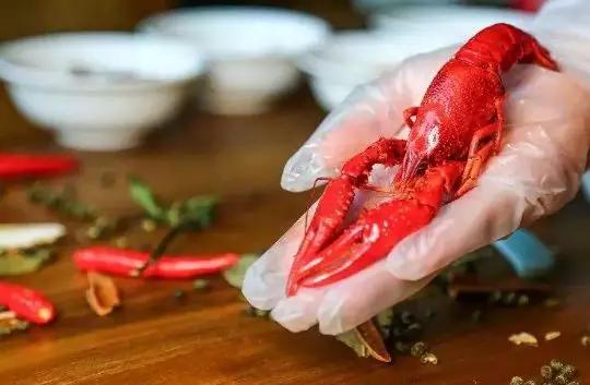 剥虾师招募,剥虾师真实收入