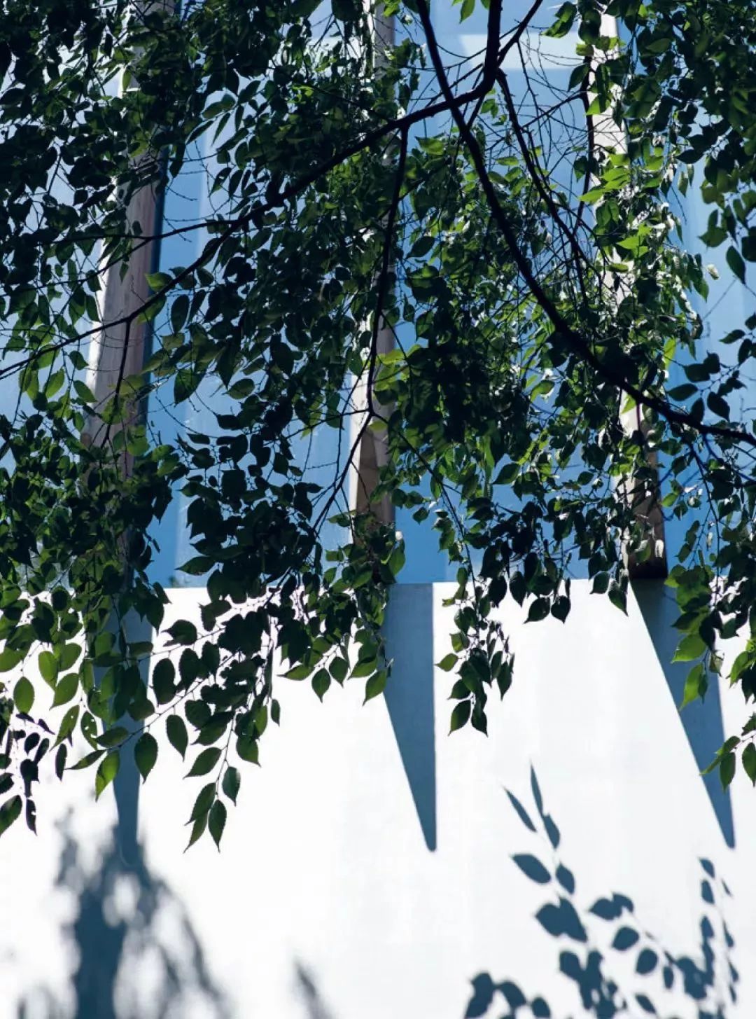 隈研吾绝美竹屋,隈研吾东京住宅