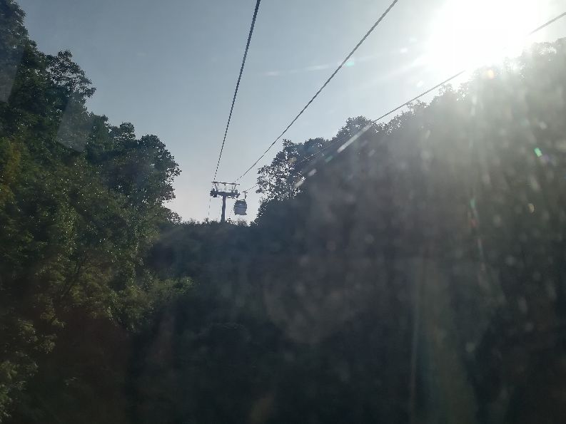 洛阳栾川竹海野生动物园值得去吗,洛阳栾川竹海野生动物园都有什么