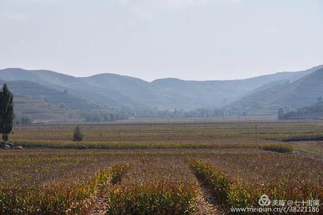 大美汨罗我的家,大美宝丰我的家