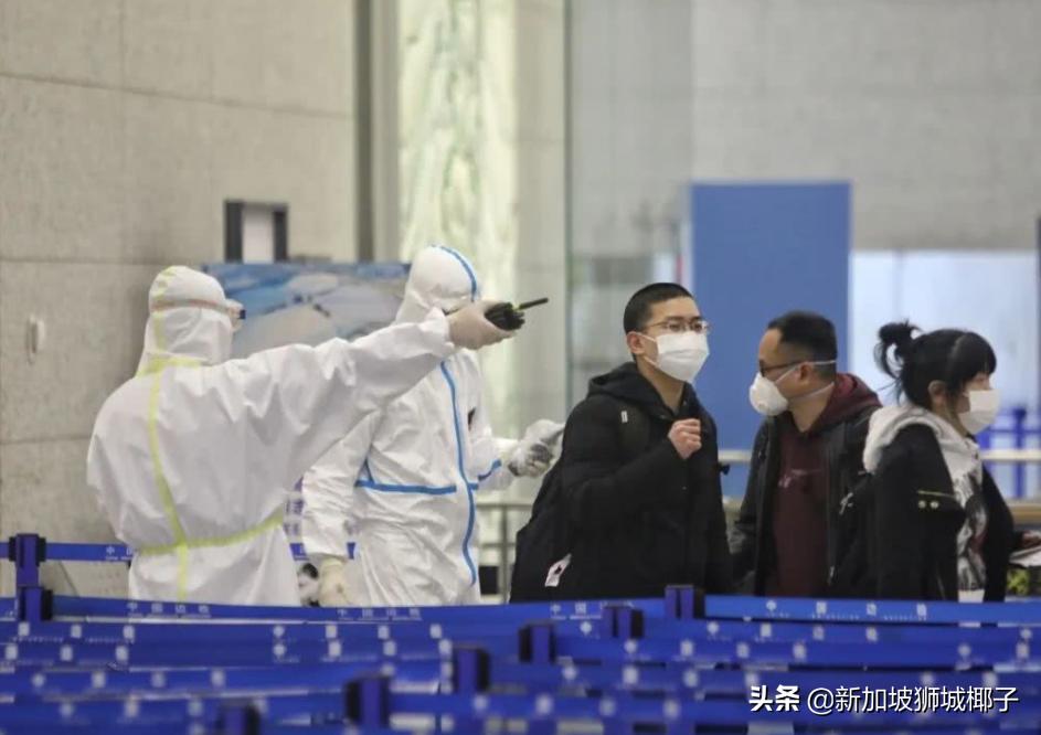 新航会降价么,新航恢复航线