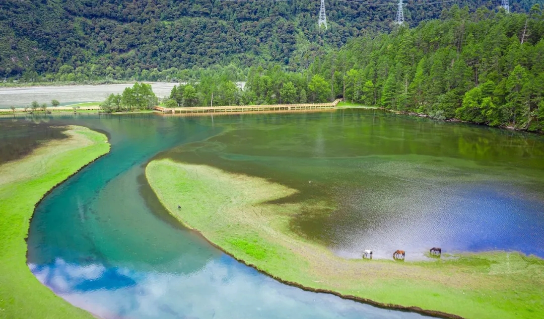 波密到鲁朗细雨蒙蒙,波密到林芝冰川