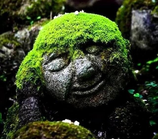 人活一辈子不得不学会这六条心计,看淡人生心无城府