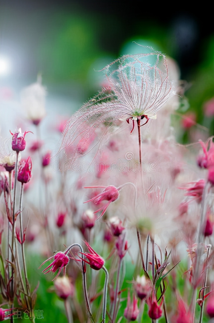 当你老了不能自理了,老人能自理却像废物一样让人伺候