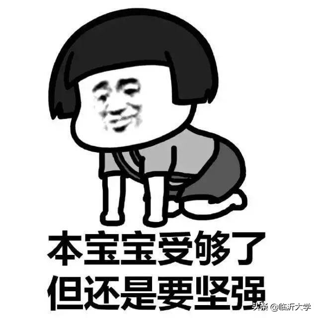 明星学车考驾照经历,一次难忘的学车过程的作文