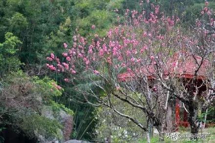 珠海消失的她,珠海是消失的她取景地吗