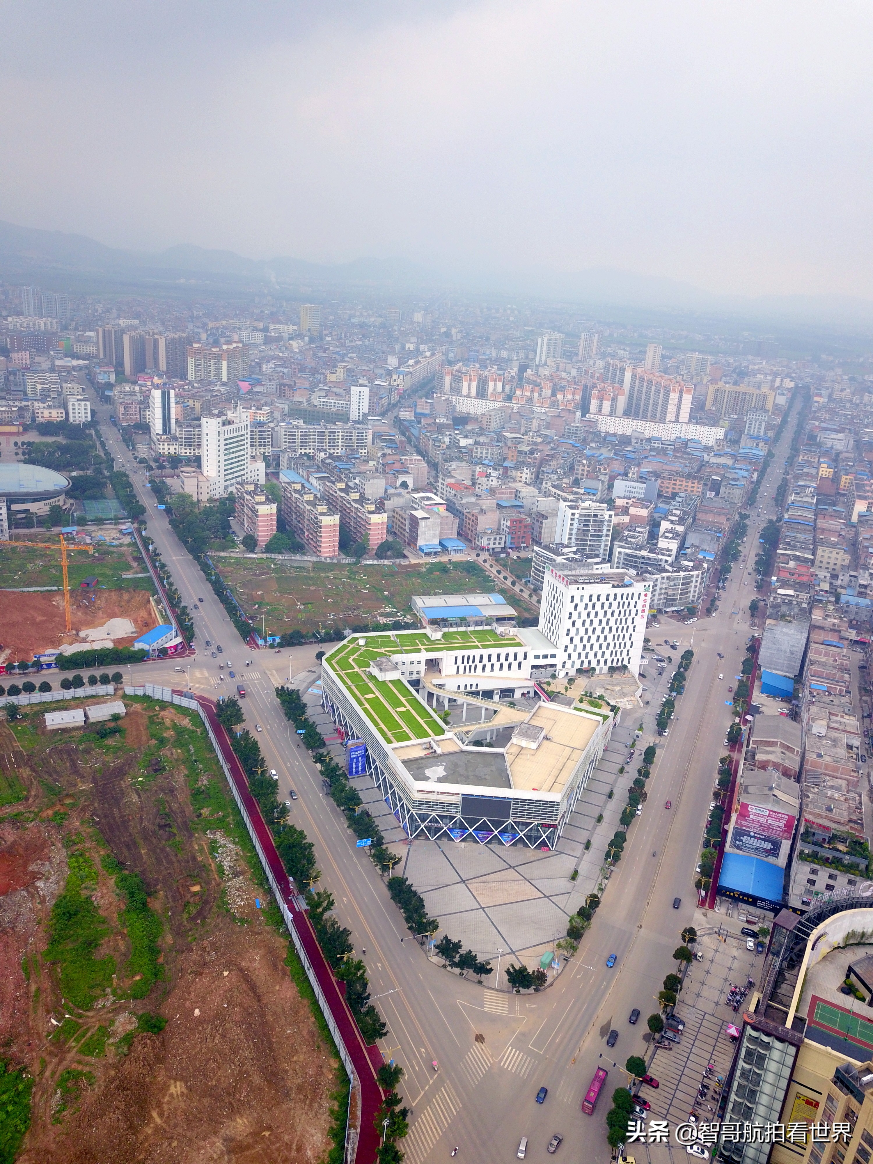 广西宾阳炮龙乡视频,宾阳炮龙之乡新闻