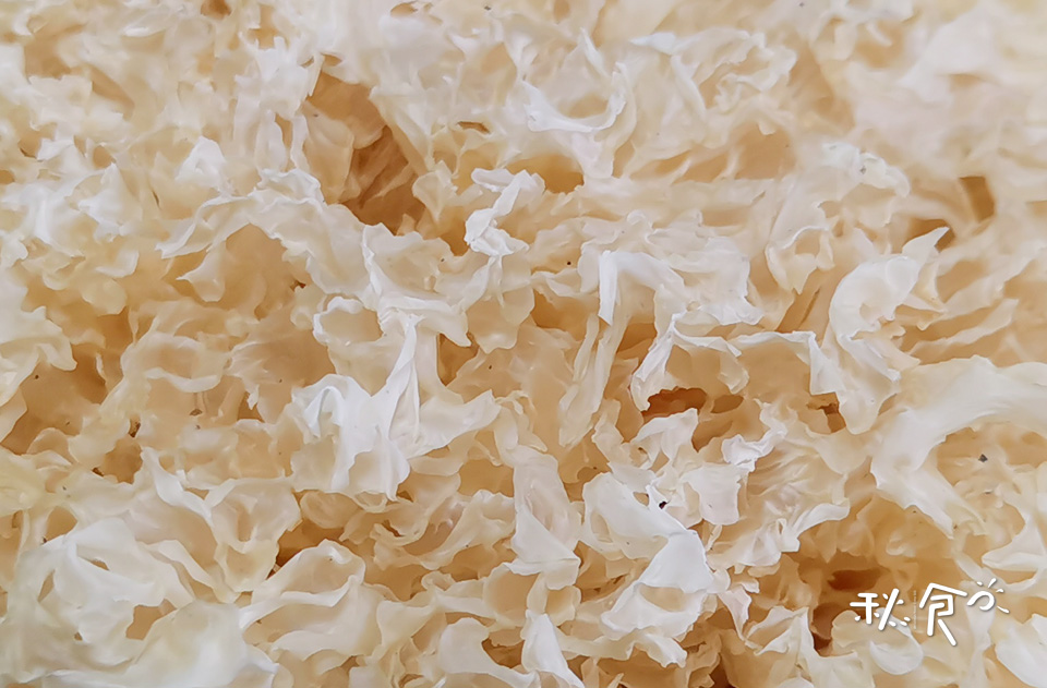 春季养生必吃十种家常菜,春天必吃的经典食物