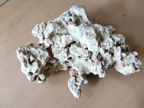 观赏鱼掉鳞是什么原因,观赏鱼因为寄生虫死了还能救活吗