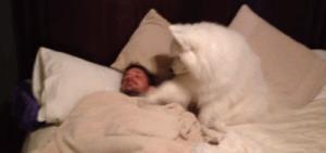 四件套已准备好还需要注意点什么,四件套怎么选才不踩坑