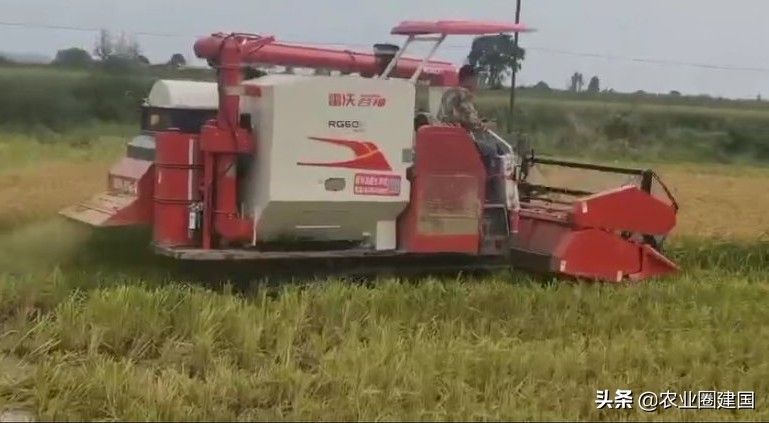 雷沃崛起,最新款雷沃收割机推荐