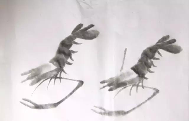 墨龙画法教程简单毛笔,河虾简笔画教程