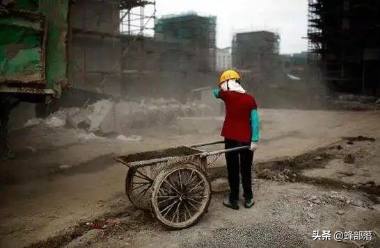 农民种植技术如何提高收益,农村种植农作物怎样高产