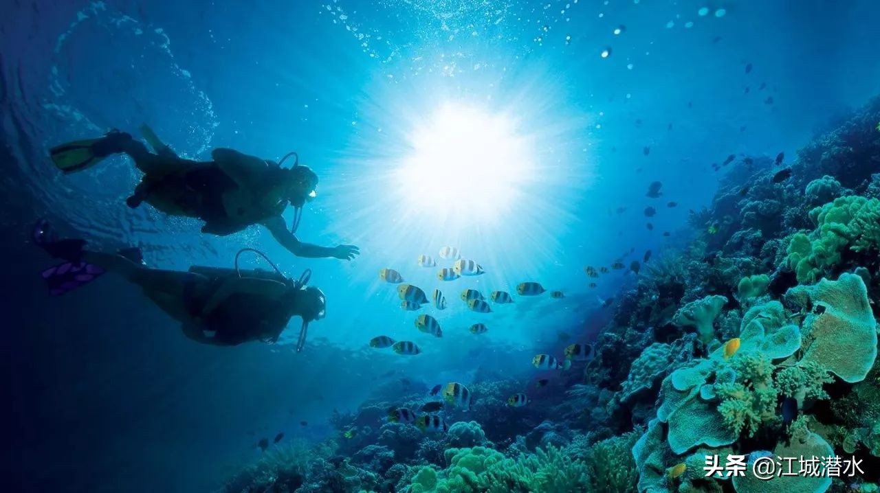 爱上潜水的理由,水肺潜水为什么不会炸肺