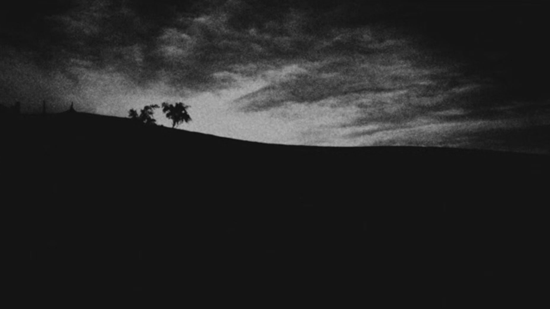 星星说8.24-30日处女座运势,星星说金牛座最新消息