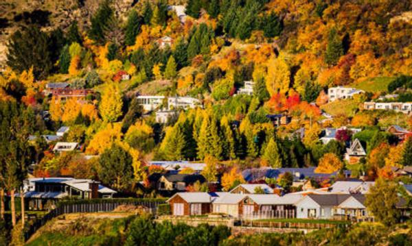 新西兰一小镇挂牌出售,364万平仅售5300万,租下来一天仅3.5万